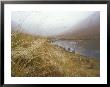 Mist In Scottish Glen, Scotland by David Boag Limited Edition Print