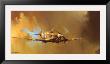 Spitfire by Barrie Clark Limited Edition Print