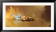 Spitfire by Barrie Clark Limited Edition Print