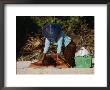 A Visitor Relaxes With A Massage At Kuta Beach, A Mekka For Tourists by Michael S. Yamashita Limited Edition Pricing Art Print