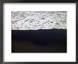 Frothy Pacific Ocean Water Pours Onto A Black Sandy Beach by Raul Touzon Limited Edition Print