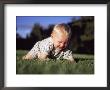 A Baby Boy Crawls Through The Green Grass by Joel Sartore Limited Edition Pricing Art Print
