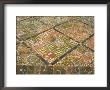 Medieval Tiles, Cleeve Abbey, Property Of English Heritage, Somerset, England by David Hunter Limited Edition Print