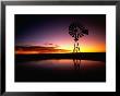 Sunset Over Peninsula Valdes, Peninsula Valdes, Argentina by Manfred Gottschalk Limited Edition Print