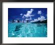 Four Women Paddling Outrigger Canoe On Lagoon At Haapiti, Moorea, The French Polynesia by Paul Kennedy Limited Edition Print