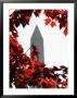 The Washington Monument Surrounded By The Brilliant Colored Leaves by Ron Edmonds Limited Edition Pricing Art Print