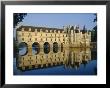 Chateau Chenonceau, Loire Valley, Centre, France, Europe by Adina Tovy Limited Edition Print