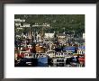 Fishing Fleet In Harbour, Mallaig, West Coast, Highlands, Scotland, United Kingdom by Tony Waltham Limited Edition Print