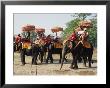 Tourists Riding Elephants In Traditional Royal Style, Ayuthaya, Thailand, Southeast Asia by Richard Nebesky Limited Edition Print