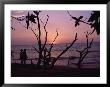 Couple And Sunset,Tamarindo, Costa Rica by Jennifer Broadus Limited Edition Print