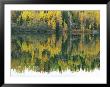 Autumn View Of A Cabin Reflected On Long Lake by Rich Reid Limited Edition Print