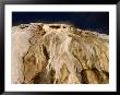 Canary Springs At Mammoth Hot Springs, Yellowstone National Park, Wyoming, Usa by Carol Polich Limited Edition Print