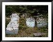 Rows Of Car Doors Ready For Resale In A Automobile Junkyard by Walker Evans Limited Edition Pricing Art Print