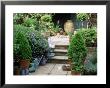 Paved Steps In Tiered City Garden by Linda Burgess Limited Edition Pricing Art Print