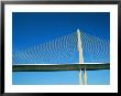 Suspension Bridge by Scott Sroka Limited Edition Print