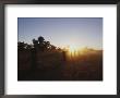 Sunset Through Dust Cloud On Drought-Stricken Farm by Jason Edwards Limited Edition Print