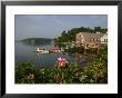 A Rose Of Sharon Bush Frames A Coastal View Along The Casco Bay by Stephen St. John Limited Edition Pricing Art Print