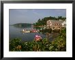 A Rose Of Sharon Bush Frames A Coastal View Along The Casco Bay by Stephen St. John Limited Edition Print