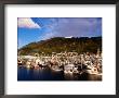 Overhead Of Fishing Boats In Harbour, Kodiak, U.S.A. by James Marshall Limited Edition Print