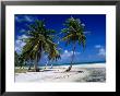 Beach And Lagoon, French Polynesia by Jean-Bernard Carillet Limited Edition Print
