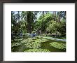 Jardin Majorelle, Marrakech (Marrakesh), Morocco, North Africa, Africa by Simon Harris Limited Edition Print