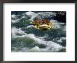 White-Water Rafting In Snake River, Jackson Hole, Jackson, Wyoming by John Elk Iii Limited Edition Print