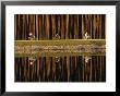 Cyclists Reflected In Main-Danube Canal Near Nurnberg, Germany by Gerd Ludwig Limited Edition Print