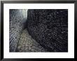 The Ruins Of Great Zimbabwe by James L. Stanfield Limited Edition Print