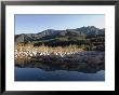 Reflection Of The Santa Ynez Mountains In Matilija River, California by Rich Reid Limited Edition Print