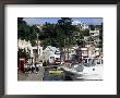 Harbour, St. George's, Grenada, Windward Islands, West Indies, Caribbean, Central America by Ken Gillham Limited Edition Print
