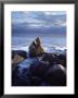 Water Over Rocks, Magnolia, Ma by Gareth Rockliffe Limited Edition Print