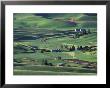 Farms And Rolling Hills Of The Palouse, Steptoe Butte State Park, Washington, Usa by Darrell Gulin Limited Edition Print