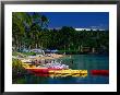 Canoes And Pedal-Boats Lined Up On The Shore Of A Lagoon At The Hilton Waikoloa, Hawaii, Usa by Ann Cecil Limited Edition Print
