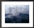 Very Calm Ocean Reflects Grey-Blue Clouds Floating Towards The Coast, Australia by Jason Edwards Limited Edition Pricing Art Print