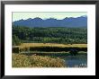 Potter Marsh, Alaska by William Gray Limited Edition Print