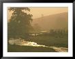 Pastoral View Of Sheep Grazing Near A Creek by James L. Stanfield Limited Edition Print
