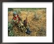 A Hunter Uses Binoculars To Spot Game by Gordon Wiltsie Limited Edition Pricing Art Print