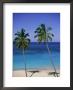 Palm Trees On Deserted Beach, Antigua, Caribbean, West Indies, Central America by Firecrest Pictures Limited Edition Print