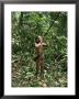 Member Of The Penan Tribe With Blowpipe, Mulu Expedition, Sarawak, Island Of Borneo, Malaysia by Robin Hanbury-Tenison Limited Edition Print