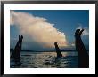 Three Pairs Of Legs Stick Out Of The Water In Lake Mcconaughy by Joel Sartore Limited Edition Pricing Art Print