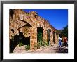 Lady Bird Johnson Wildflower Center In Austin, Texas by Richard Cummins Limited Edition Pricing Art Print