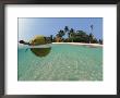 Coconut Floating On Water, Indo-Pacific, Split-Level, Dispersal Of Seed by Jurgen Freund Limited Edition Print