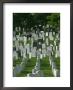 Gravestones by Skip Brown Limited Edition Pricing Art Print
