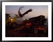 Salvage Logging After Large Forest Fire Near Burney, California by Phil Schermeister Limited Edition Print