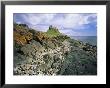 Lindisfarne Castle, Lindisfarne, Holy Island, Northumberland, England, United Kingdom, Europe by Lee Frost Limited Edition Print