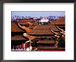 Tiled Roofs Of Forbidden City From Jingshan Park, Beijing, China by Krzysztof Dydynski Limited Edition Print