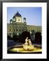 Natural History Museum, Vienna, Austria by Roy Rainford Limited Edition Print
