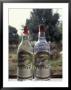 Corsico Rum Bottles, Parati, Brazil by Michele Molinari Limited Edition Print