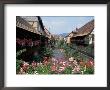 Colmar, Route Du Vin, Alsace, France by Nik Wheeler Limited Edition Print