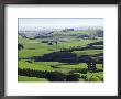 Farmland At Milburn, South Otago, South Island, New Zealand by David Wall Limited Edition Print